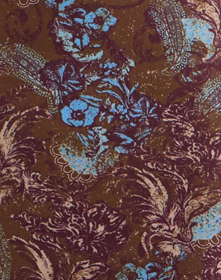 Alnaka Maxi Dress in Feathery Paisley Brown