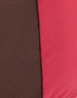 Avilina Swim Short in Brown with Red Binding