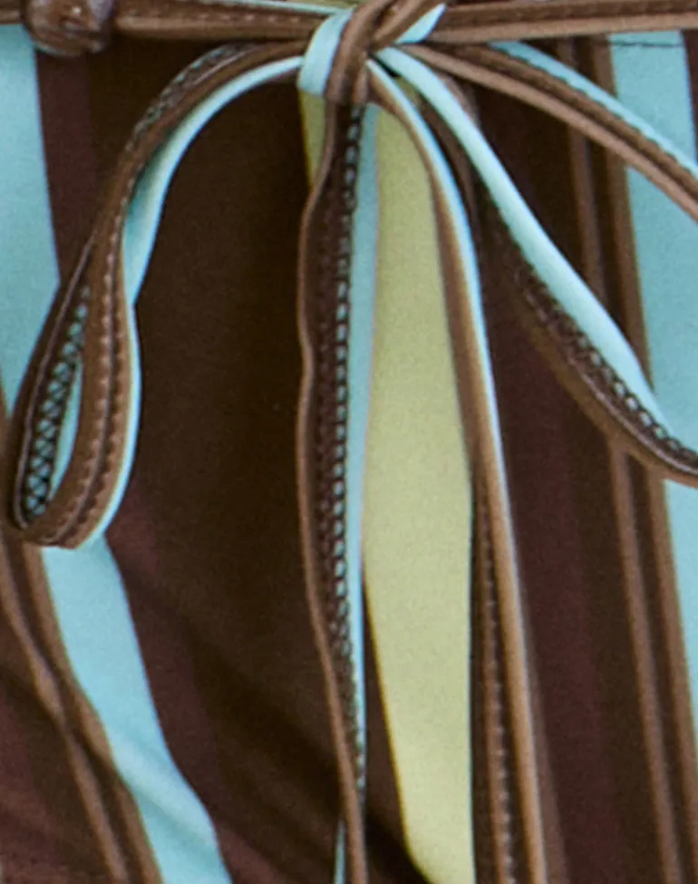 Avi Swim Short in Brown and Blue Linear Stripe with Tie Waist