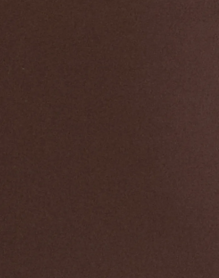 Avi Swim Short in Brown with O Ring