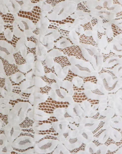 Dainy Plunge Halterneck Top in Lace White