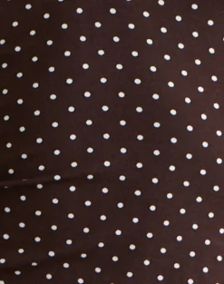 Emesy Long Sleeve Top in Micro Polka Brown