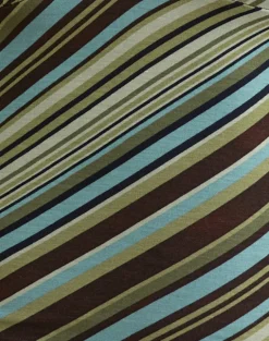 Emesy Long Sleeve Top in Mixed Stripe Green