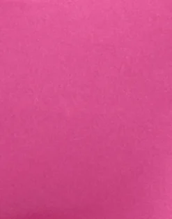 Eunia Micro Short in Deep Pink