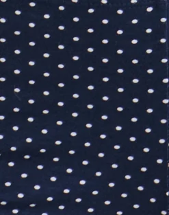Eunia Short in Navy with Micro Polka Print