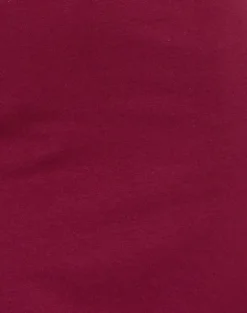 Hepzhi Mini Dress in Burgundy With Floral Embroidery