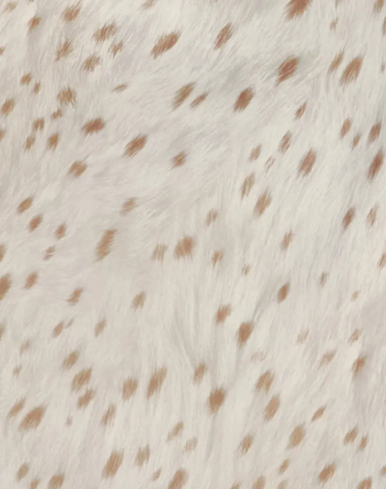 Jenat Mini Dress in Ivory Bambi Print with Scarf