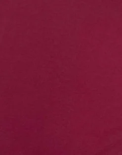 Kitty Deep Plunge Bodysuit in Burgundy
