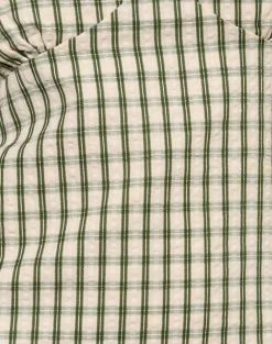 Lavisha Midi Dress in Green Check