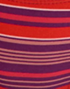 Lentra Bikini Bottom in Purple and Red Radiant Lines with Beads