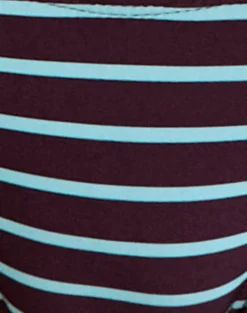 Lentra Bikini Bottom in Purple and Blue Radiant Stripe with O Ring