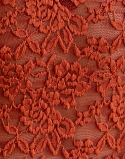 Mahota Deep Plunge Long Sleeve Top in Lace Mesh Brick