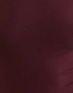 Nell High Neck Long Sleeve Top in Dark Plum