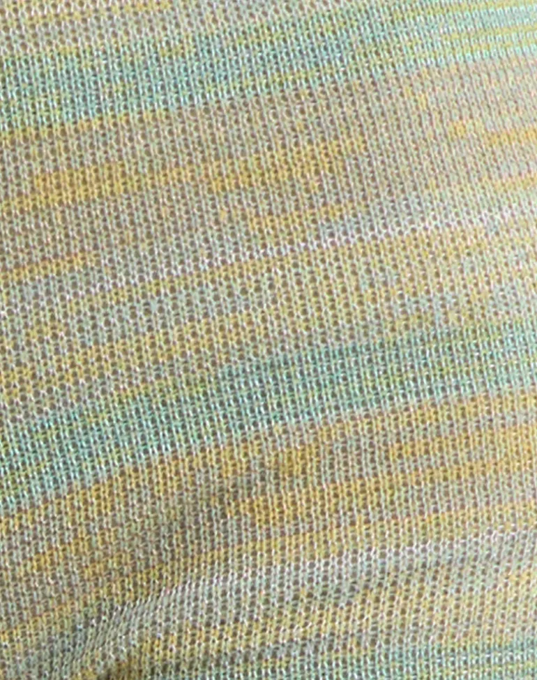 Niyara Short in Green Metallic Multi