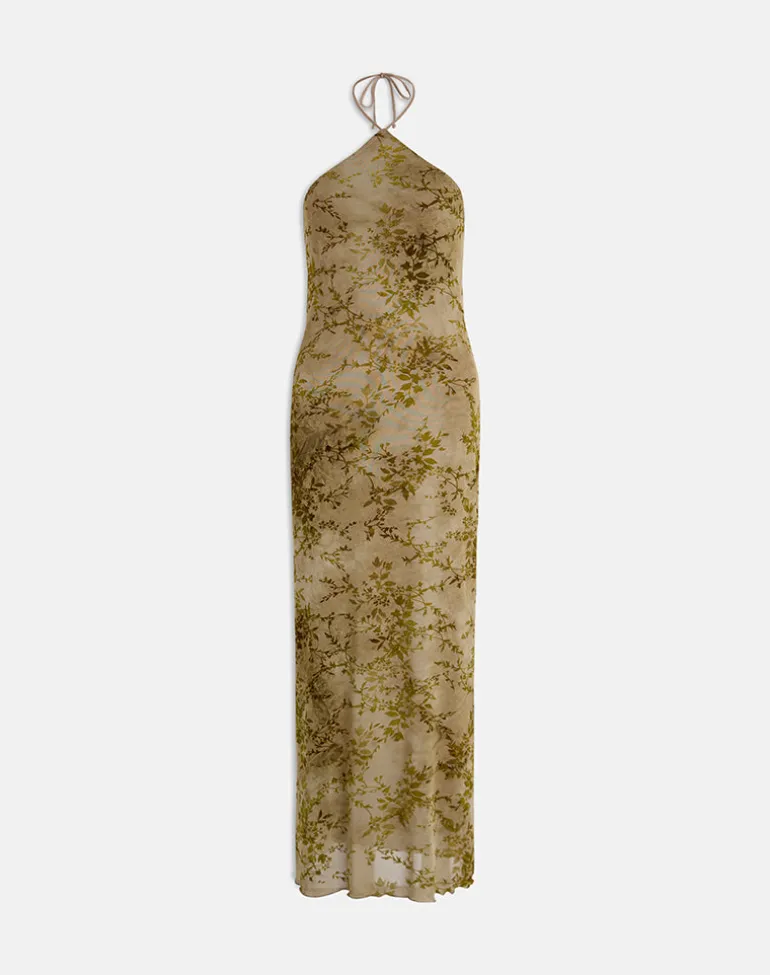 Rabika Maxi Dress in Burn Velvet Green