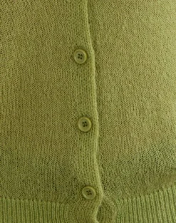 Renisa Cardigan in Sheer Knit Green