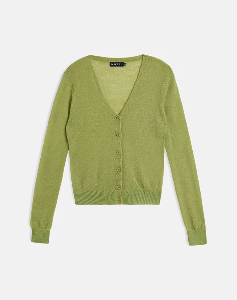 Renisa Cardigan in Sheer Knit Green