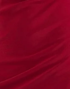 Ribka Halterneck Midi Dress in Mesh Cherry