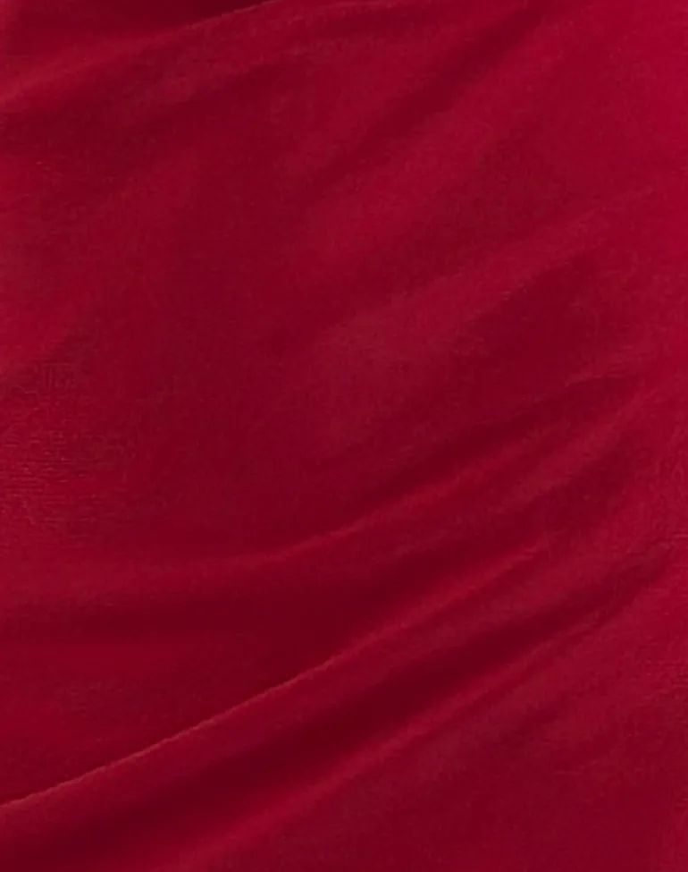 Ribka Halterneck Midi Dress in Mesh Cherry