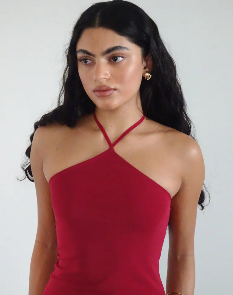Ribka Halterneck Midi Dress in Mesh Cherry