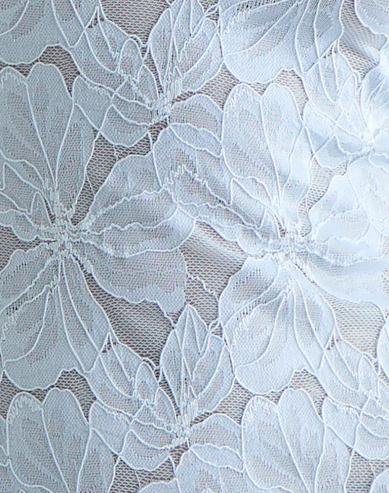 Titania Collar Mini Dress in Zinnia Lace Blue