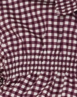 Ulsan Fitted Shirt in Mini Gingham Wine