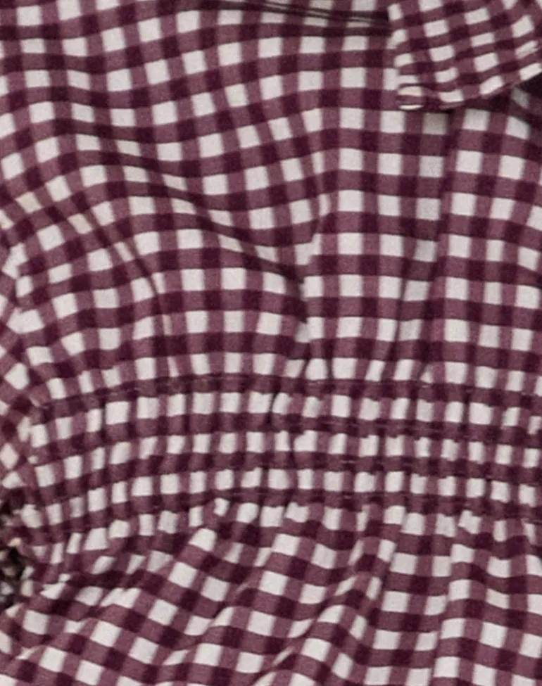 Ulsan Fitted Shirt in Mini Gingham Wine